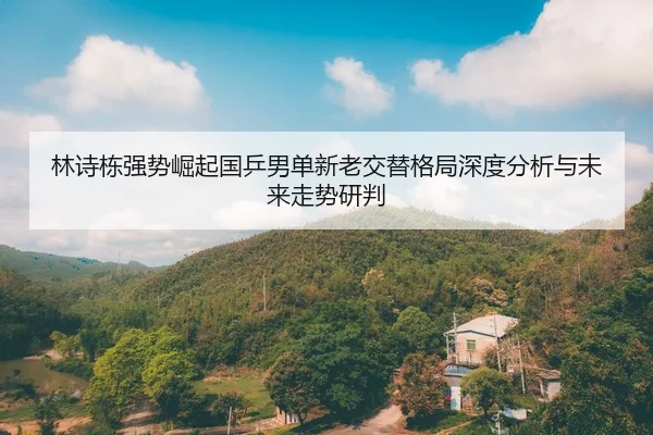 林诗栋强势崛起国乒男单新老交替格局深度分析与未来走势研判