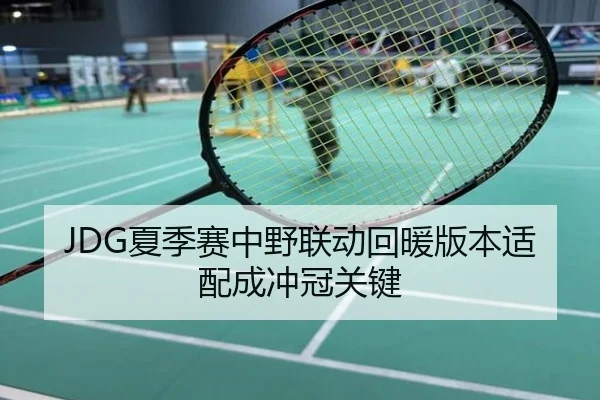 JDG夏季赛中野联动回暖版本适配成冲冠关键