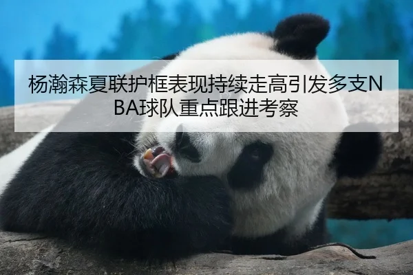 杨瀚森夏联护框表现持续走高引发多支NBA球队重点跟进考察
