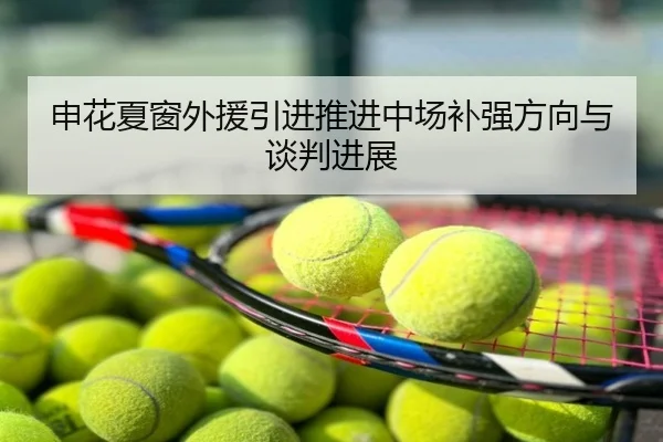 申花夏窗外援引进推进中场补强方向与谈判进展